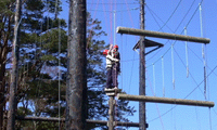 High Ropes Challenge